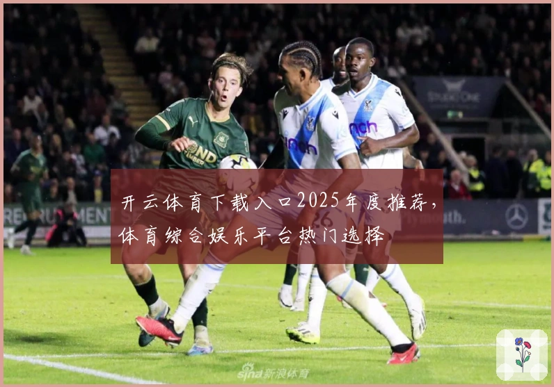 开云体育下载入口2025年度推荐,体育综合娱乐平台热门选择