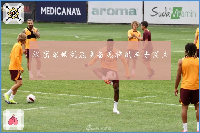 汉密尔顿到底具备怎样的车手实力